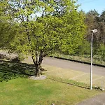 Niederwald - Mit Fotografie-angeboten *