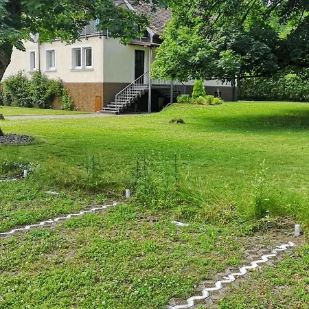 Niederwald - Mit Fotografie-angeboten *