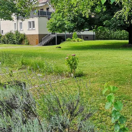 Niederwald * Iffezheim