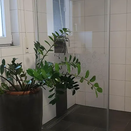 Niederwald * Iffezheim