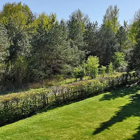 Niederwald - Mit Fotografie-angeboten Διαμέρισμα