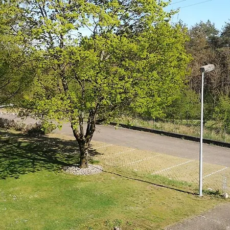 Niederwald - Mit Fotografie-angeboten *